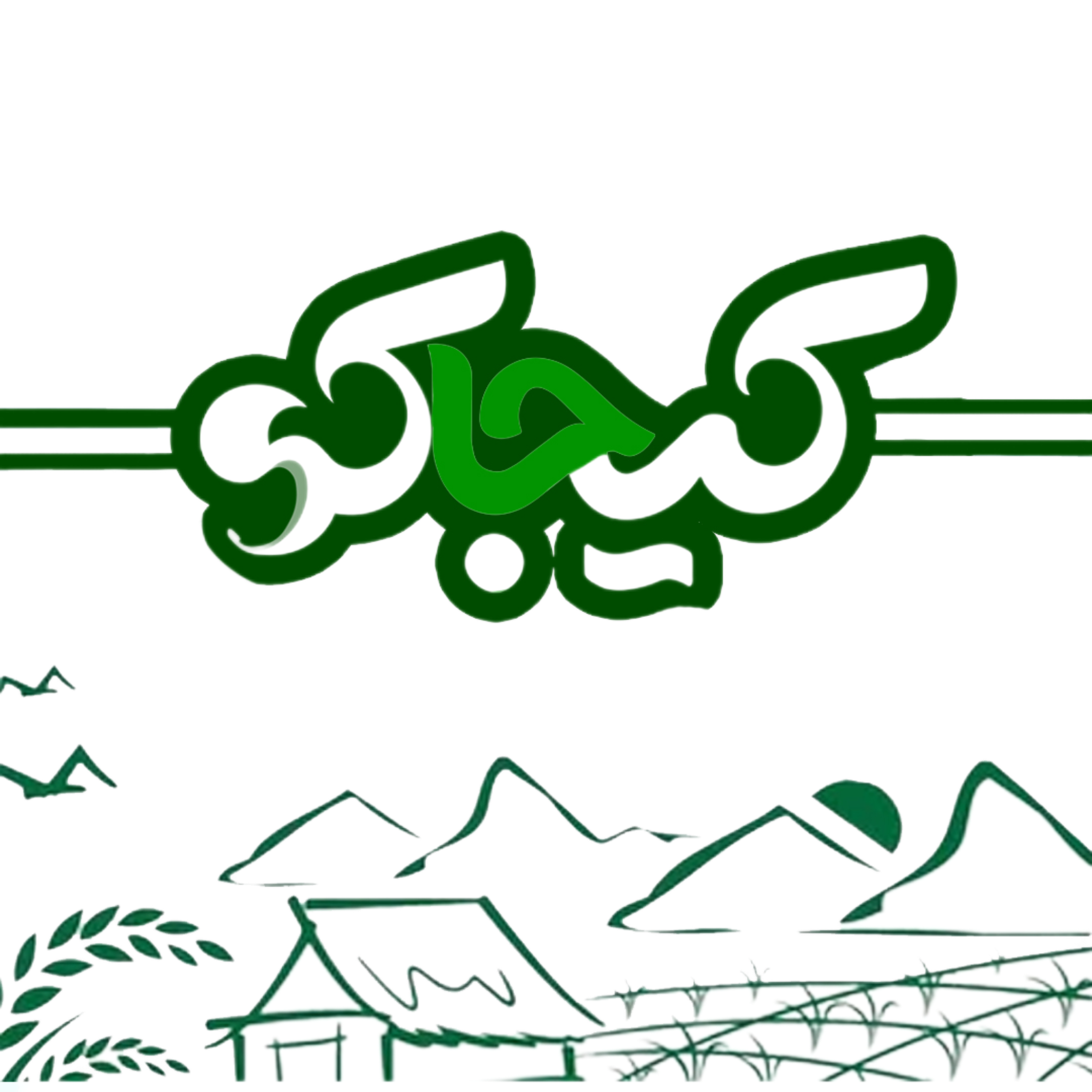 کیجاکو